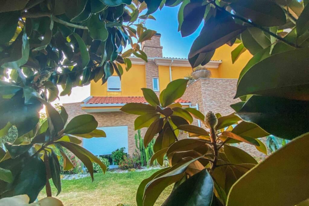 Casa Petroleiro Apartman Albergaria-a-Velha Kültér fotó